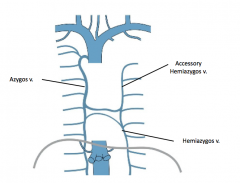 The 4th -8th are drained by the accessory hemizygous vein and the 9th-11th are drained by the hemizygous vein