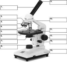 Label the microscope