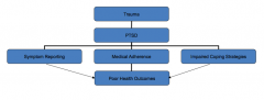 - Elevated symptom reporting
- Medical adherence and coping
- Coping strategies for coping with PTSD (risk behaviors, low self-efficacy to change and/or maintain preventive health regimens, increased risk of re-victimization)