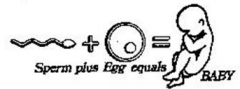 cause (an egg, female animal, or plant) to develop a new individual by introducing male reproductive material.