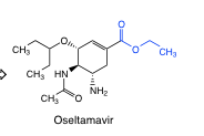 -neuraminidase inhibitor-orally active
-prodrug = hydrolysis of ester

