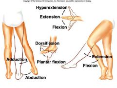 Movement at the ankle that brings the foot farther from the shin (walking or standing on toes).