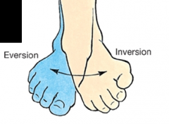 Turning the foot so the plantar surfaces faces laterally.