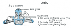The axis has 5 primary and 2 secondary ossification centers.

3 primaries are the same as for other vertebrae: 1 in the body and 1 for each arch. 

The apex of the odontoid process has a separate body which appears at 2 years old and fuses by ...