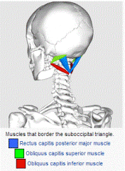 The superior and inferior heads of the obliquus capitis muscle and the rectus capitis posterior major muscle form this triangle.

The vertebral artery and the first cervical nerve are within this triangle, and the greater occipital nerve (C2) is...