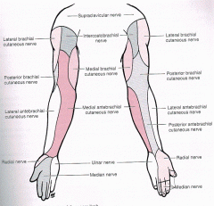 From the axillary nerve and innervates the lateral side of the arm