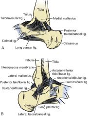 Plantar flexion tightens the anterior talofibular ligament, and inversion with neutral flexion tightens the calcaneofibular ligament.