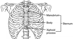 relating to the sternum
region of breastbone