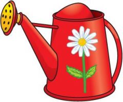  
 
WATERING CAN 