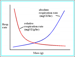 Compares the weight and respiration rate of the fish (mgO2/g/hr)
Red line