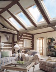 A type of fixed window. Skylights are estimated to let five times more light into a house than another window of the same size. Skylights also help a space look much larger than it is and add value to the house.