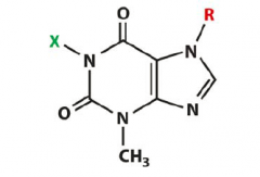 Caffine: R=CH3, X =CH3
Theophylline R=H, X=CH3
Theobromine: R=CH3, X=H