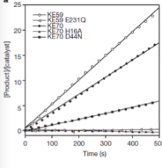 Best: KE59, it was mutated further and works even better than KE70.
When the "Key catalytic AA residues" is mutated (KE59 E231Q) - It doesn't catalyze the reaction just as well. Very evident in the graph. 