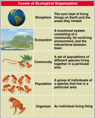 studies interactions among organisms
And their environment
Ecology and evolution are tightly intertwined