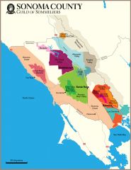 Alexander Valley

Dry Creek Valley

Rockpile

Bennett Valley

Knights Valley

Chalk Hill

Russian River Valley

Sonoma Valley

Moon Mountain District Sonoma County

Green Valley of Russian River Valley

Sonoma Mountain

Sonoma Coast

Northern Sono...