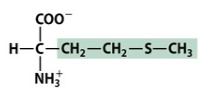 Is this amino acid polar, nonpolar or charged? Methionine is shown.
