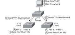 Someone configures a new VLAN from the command-line interface (CLI) of a VTP server. 

The VTP server updates its VLAN database revision number from 3 to 4.

The server sends VTP update messages out its trunk interfaces, stating revision number 4. 

