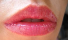 Die Lippe