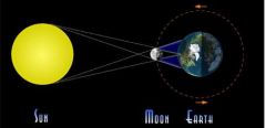 What phase of the moon is shown? How much light will we see on the moon?