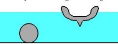What does the buoyant force equal? Why does the ball sink and the ship hull float when they are the same mass?