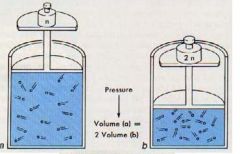 What happens to the pressure of the gas as you decrease the volume of the container by 1/2?