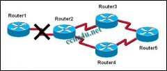 The graphic shows a network that is configured to use RIP routing protocol. Router2 detects that the link to Router1 has gone down. It then advertises the network for this link with a hop count metric of 16. Which routing loop prevention mechanism is in e