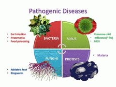 pathogen
PATH-oh-jin