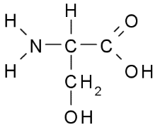 Is this amino acid most likely to participate in hydrogen bonding, ionic bonds, hydrophobic interactions and/or disulfide bonds? Why? Serine is shown. 