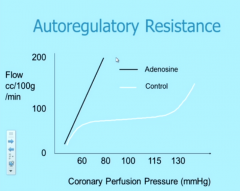 - normally, autoregulation prevents too much flow increase
- but we add a shiz ton of adenosine in this scenario - coronary flow skyrockets