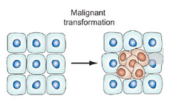 The conversion of a normal host cell into an abnormal cell with uncontrolled cell growth.