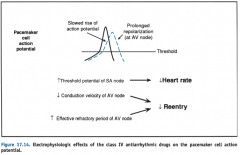 "Predominantly acting on nodal tissue they: 

1) Decrease the rate of Phase 0 depolarization, and
2) In AV node: increase refractory period, preventing reentry beats."