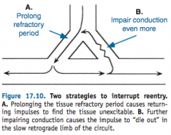"1) Prolonging tissue refractory period so a reentrant impulse attempts to stimulate refractory tissue, and

2) Impairing conduction further so it fails to traverse a retrograde portion of a conduction circuit.

Which classes achieve each effe...