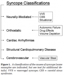 "Neurally mediated
Orthostatic
Cardiac arrhythmias
Structural cardiopulmonary disease
Cerebrovascular"
