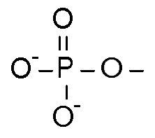 What is this functional group?
Where are these found?
