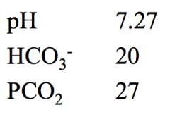In a patient with pH of 7.27, bicarbonate serum concentration of 20 mM and a serum carbon dioxide partial pressure of 27 mmHg, are the lab values internally consistent?