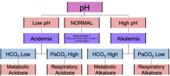 "Low pH -> Acidemia

Low HCO3 -> Metabolic Acidosis

(Normal PaCO2 -> no respiratory compensation.)"