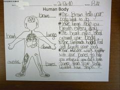 provide evidence of a childs actual work in the classroom (Cooper and Kiger, 32).

These sample will be used in my room to help determine evaluations of their understanding about the material.  It will also help me monitor their literacy compreh...