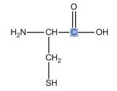 What is the name of this amino acid?