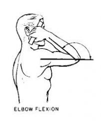 Elbow Flexion