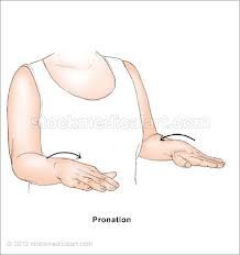 Forearm Pronation