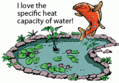 Specific Heat Capacity