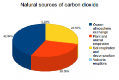 Carbon Source 