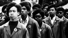 Who radicalized the African American struggle assumed by groups like the Black Panthers and also died murdered?