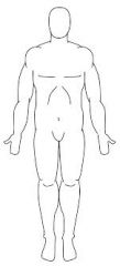 1. Body in standing position, facing forward;
2. The legs and feet are together;
3. Arms hang loosely at sides with palms facing forward.