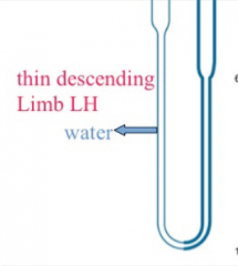 The sodium reabsorbed by the ascending limb is dumped into the interstitial environment, generating an osmotic gradient for water reabsorption.