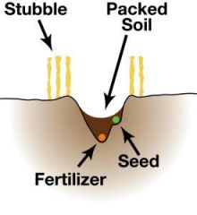 

Fertilizer placed slightly below and to the side of the seed, slightly below the seed, or between the rows.