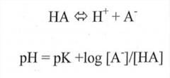 "In the case of bicarbonate:

pH = pK + log [HCO3-]/[0.03pCO2], where pK = 6.1"