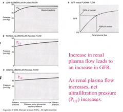 "- Increased renal flow increases the GFR --> increased NET ultafiltration pressure 
- linear relationship to 100% of normal then plateaus

"