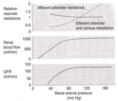 "- the afferent arteriole resistance is modified to maintain consistent renal flow and filtration in the face of fluctuating BP
- this process is mediated by autoregulation "