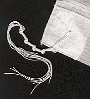 Fringes on the corners of the tallit. Also commonly refers to the fringed undervest worn by some Jewish males.